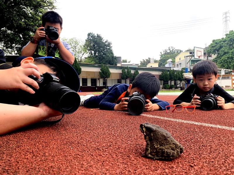 新北親師生平台與動物星球頻道聯手出擊！ 兒童月快來親子共學 ，線上動物檢定超有趣圖片
